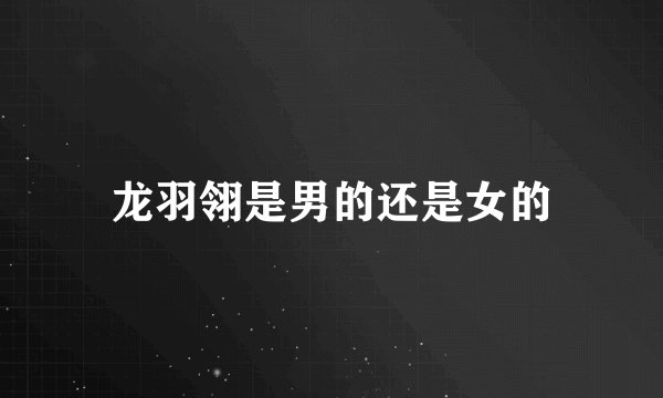 龙羽翎是男的还是女的
