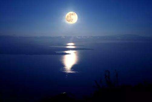 江畔何人初见月的全文是什么？