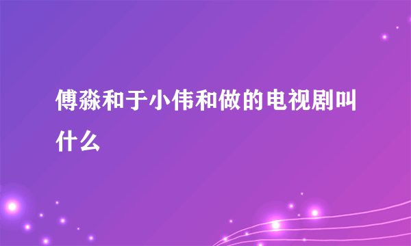 傅淼和于小伟和做的电视剧叫什么