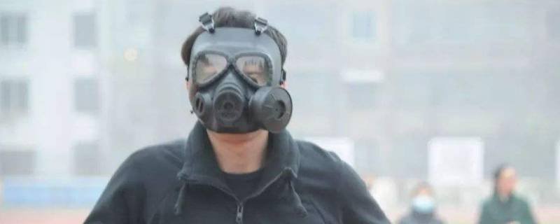 人类从什么动物身上得到启发发明了防毒面具