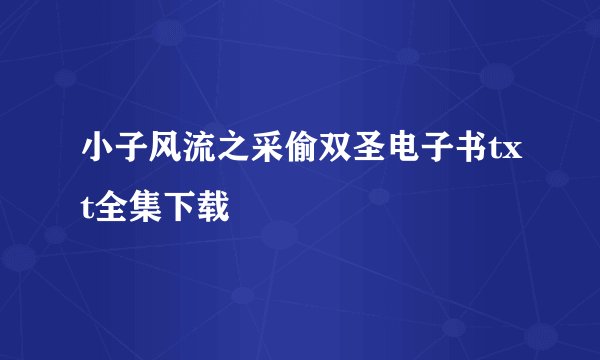 小子风流之采偷双圣电子书txt全集下载