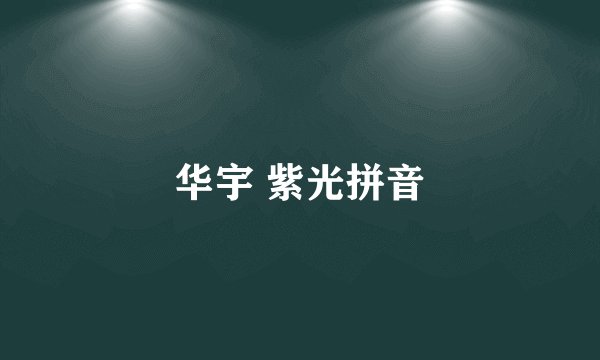 华宇 紫光拼音