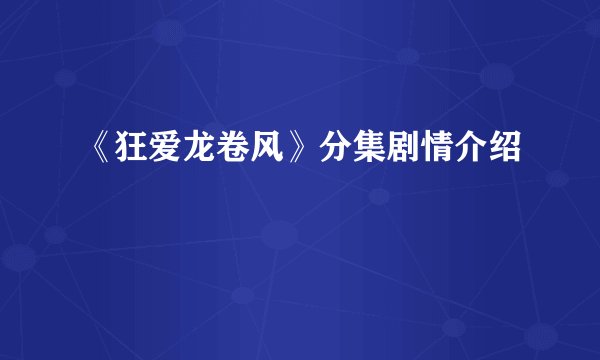 《狂爱龙卷风》分集剧情介绍