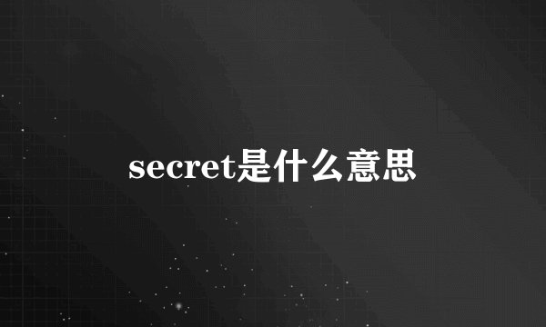 secret是什么意思