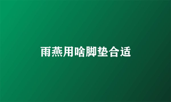 雨燕用啥脚垫合适