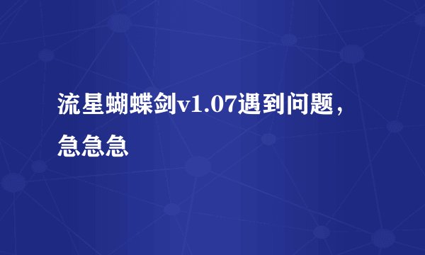 流星蝴蝶剑v1.07遇到问题，急急急