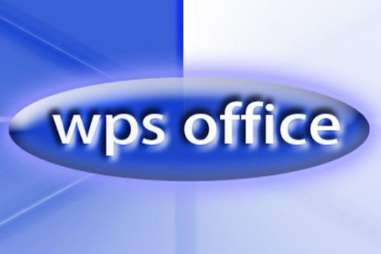 计算机二级wps和ms那个简单点？