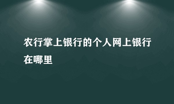 农行掌上银行的个人网上银行在哪里