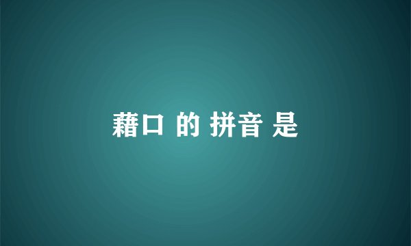 藉口 的 拼音 是