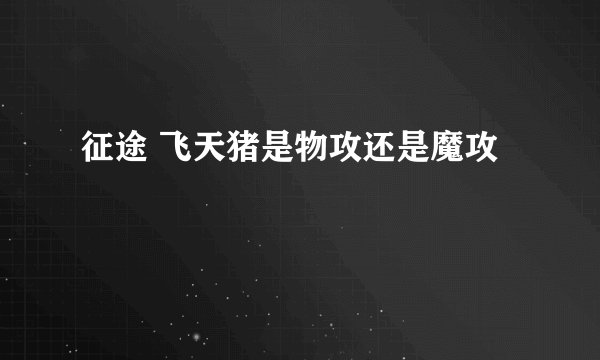 征途 飞天猪是物攻还是魔攻