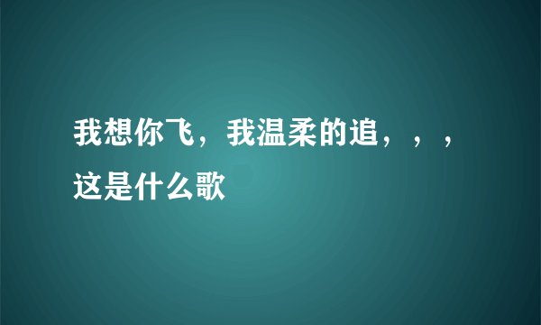 我想你飞，我温柔的追，，，这是什么歌