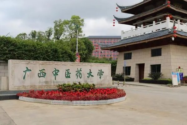 广西中医药大学是公办还是民办