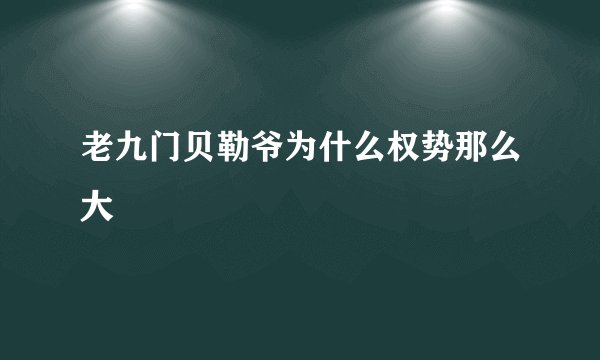 老九门贝勒爷为什么权势那么大