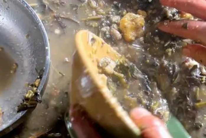 贵州女子用猪食洗碗引争议，这种行为是否存在卫生隐患？