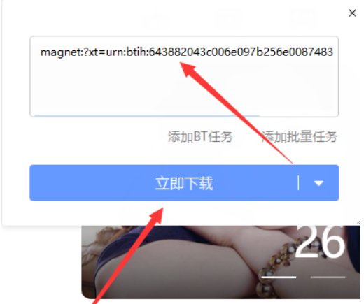 如何用迅雷下载网页上的视频？