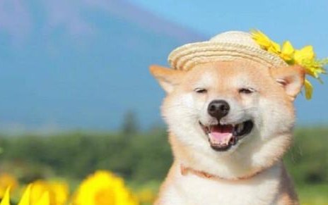 smile是什么意思中文