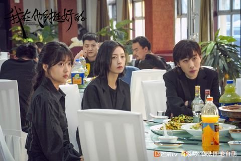 电视剧我在他乡挺好的好看吗?