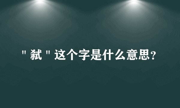 ＂弑＂这个字是什么意思？