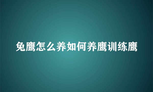 兔鹰怎么养如何养鹰训练鹰