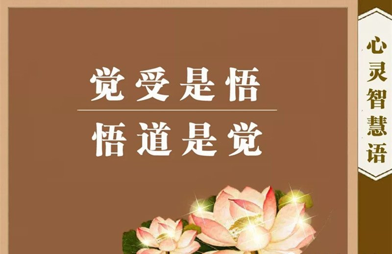 佛说:由爱故生忧由爱故生怖,若离于爱者,无忧亦无怖.是什么意思?