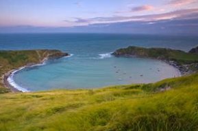 cove是什么意思中文