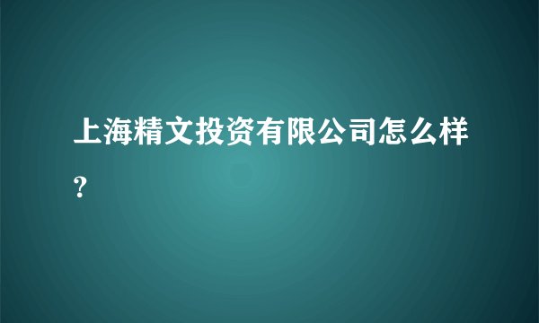 上海精文投资有限公司怎么样？