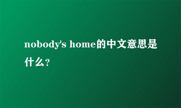 nobody's home的中文意思是什么？