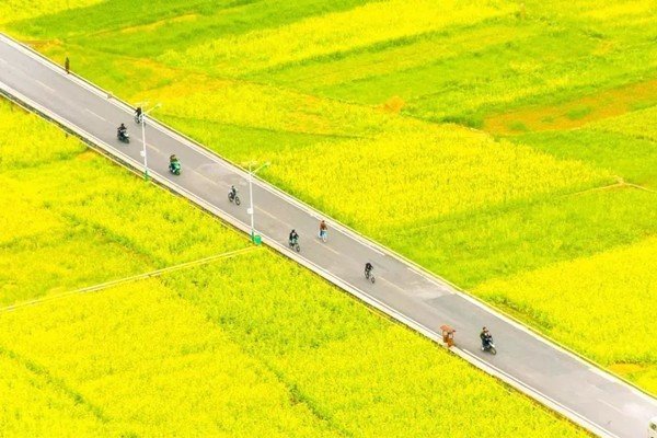 对角线是什么意思图解