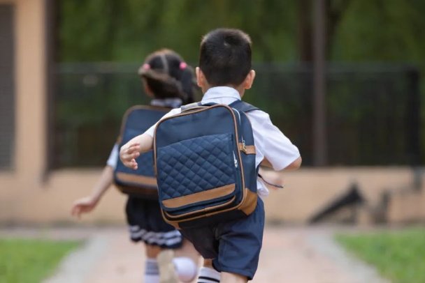 积分入学怎么查积分