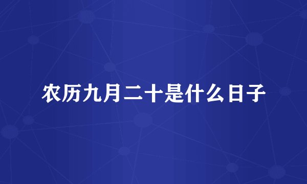 农历九月二十是什么日子