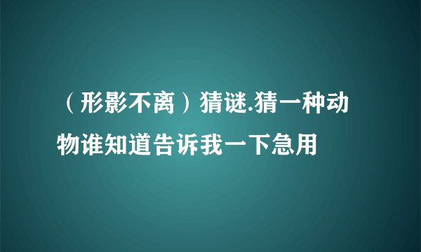 （形影不离）猜谜.猜一种动物谁知道告诉我一下急用