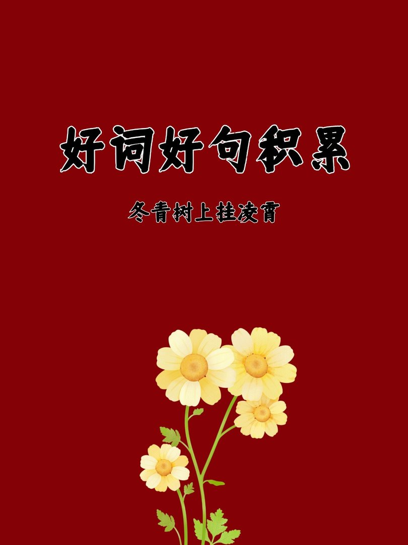 冬青树上挂凌霄