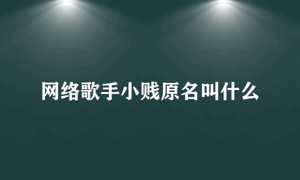 网络歌手小贱原名叫什么