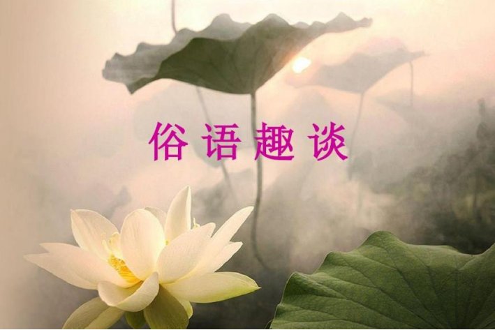 正月十五雪打灯打一俗语