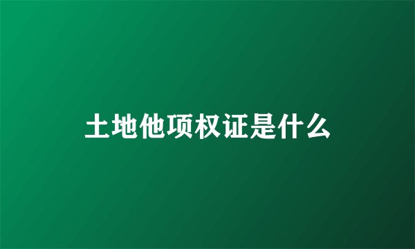 土地他项权证是什么