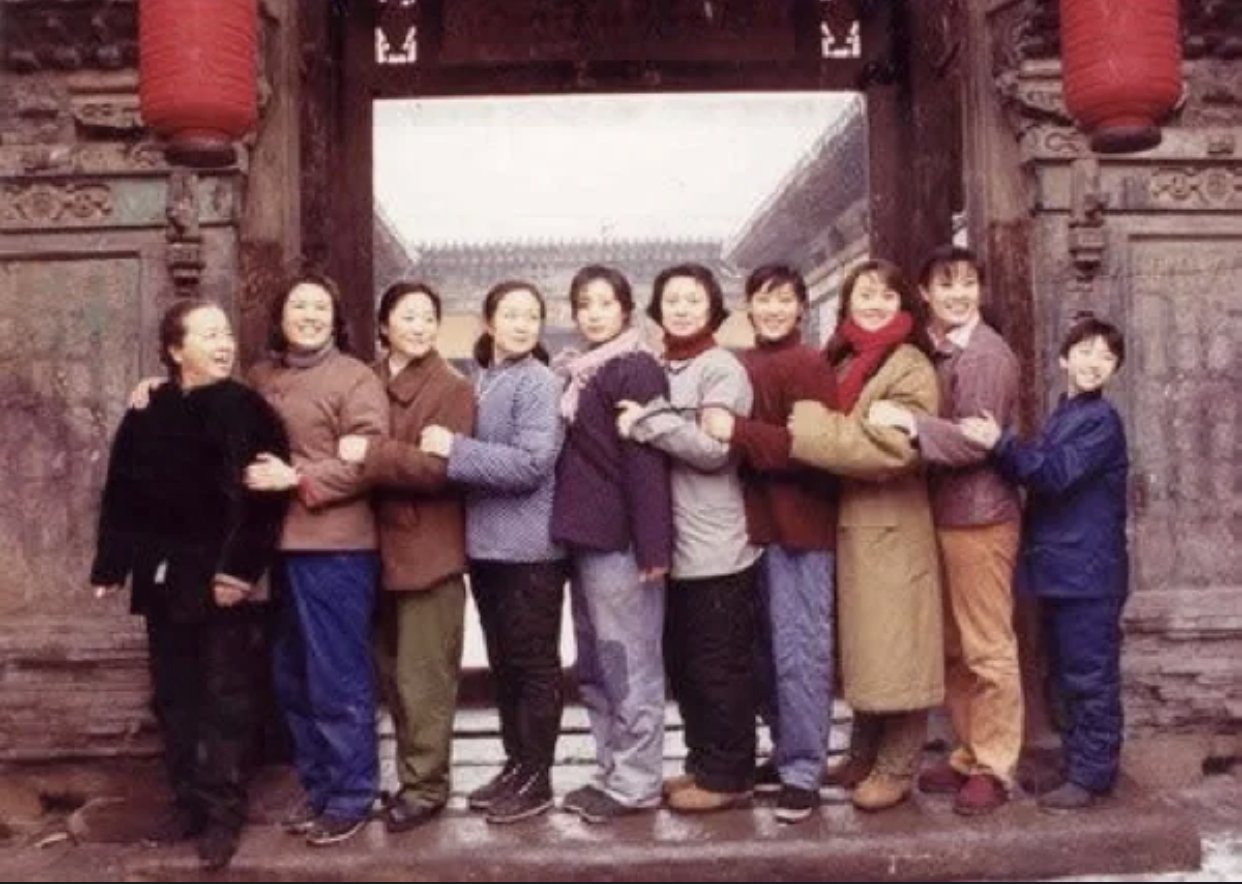 家有九凤演员表大全