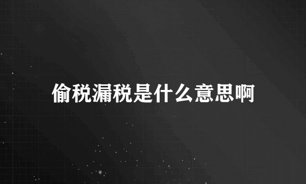 偷税漏税是什么意思啊