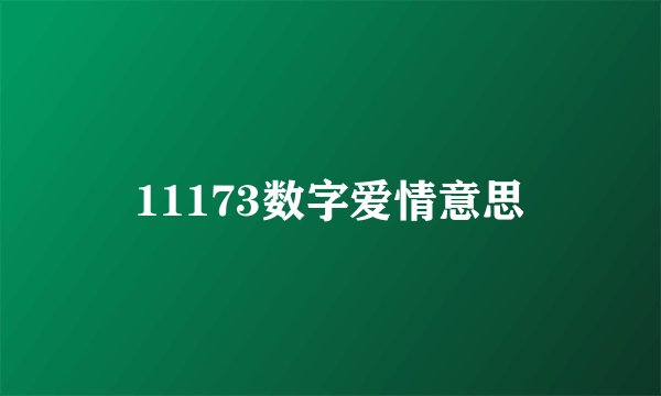 11173数字爱情意思