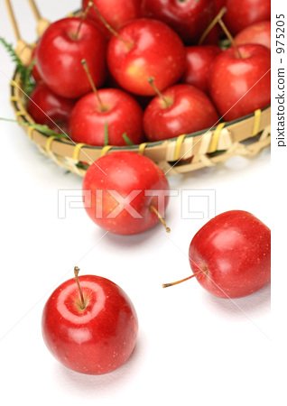 水果姬的网民心声