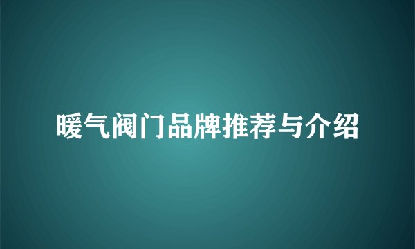 暖气阀门品牌推荐与介绍