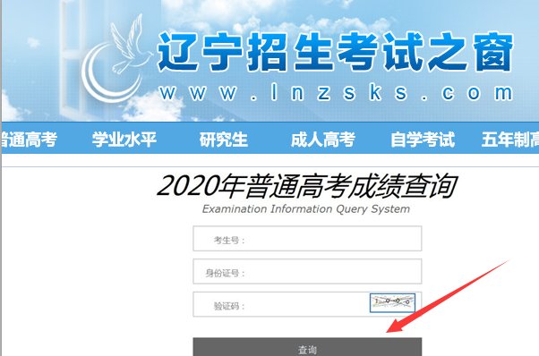 辽宁招生考试之窗怎么进入啊，查询成绩得网址是什么啊