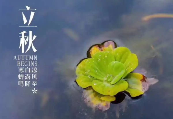 立秋后多久才会凉快