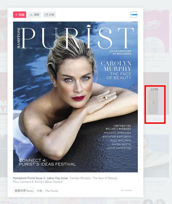 国内有没有像ISSUU这样的个人杂志画册出版平台