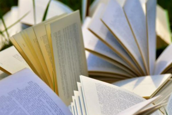 强烈推荐的多肉古文