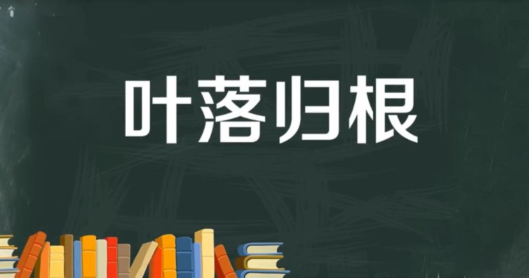 叶开头的成语