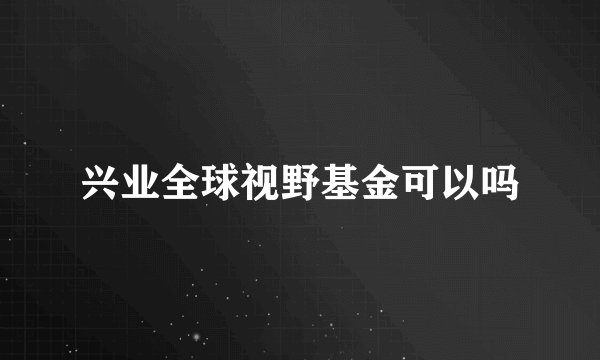兴业全球视野基金可以吗
