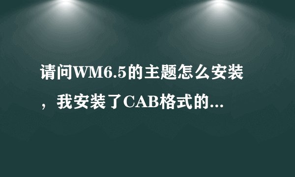 请问WM6.5的主题怎么安装，我安装了CAB格式的没用，RAR压缩的又不知道如何安装？