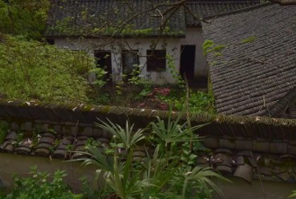 河南周口一女学生被安排在废弃20年小院隔离，你敢独自在废弃小院生活吗？