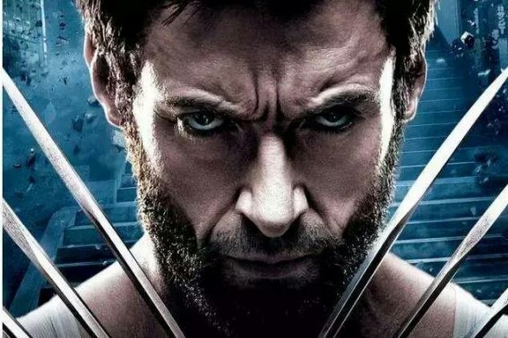 wolverine是什么意思