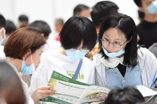 高考报名号怎么查